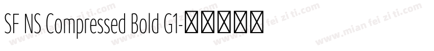 SF NS Compressed Bold G1字体转换